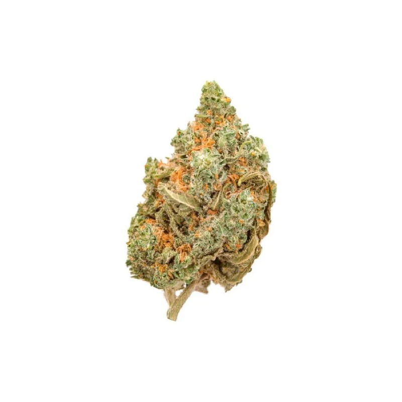 Fleur CBD Amnesia bud macro citron sativa