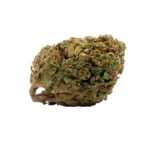 Fleur CBD Harlequin bud macro ratio équilibré
