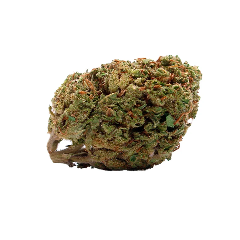 Fleur CBD Harlequin bud macro ratio équilibré