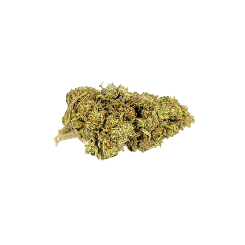 Fleur CBD Lemon Haze bud macro citron sativa