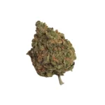 Fleur CBD Shiva Skunk bud macro indica