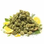 Small buds CBD Amnesia petits bourgeons citron sativa