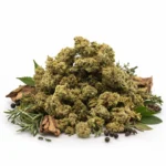 Small buds CBD Critical petits bourgeons indica